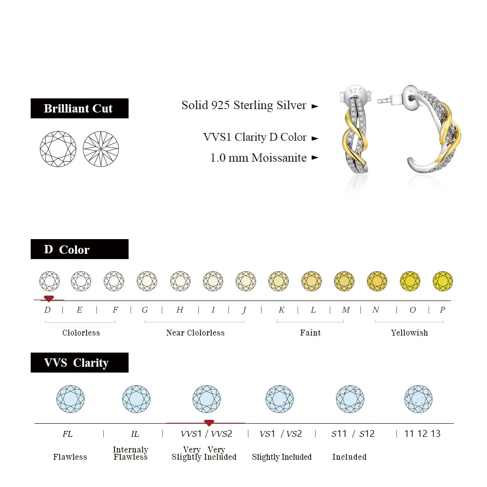 1.0MM VVS1 D Color Moissanite Stud Earrings | S925.