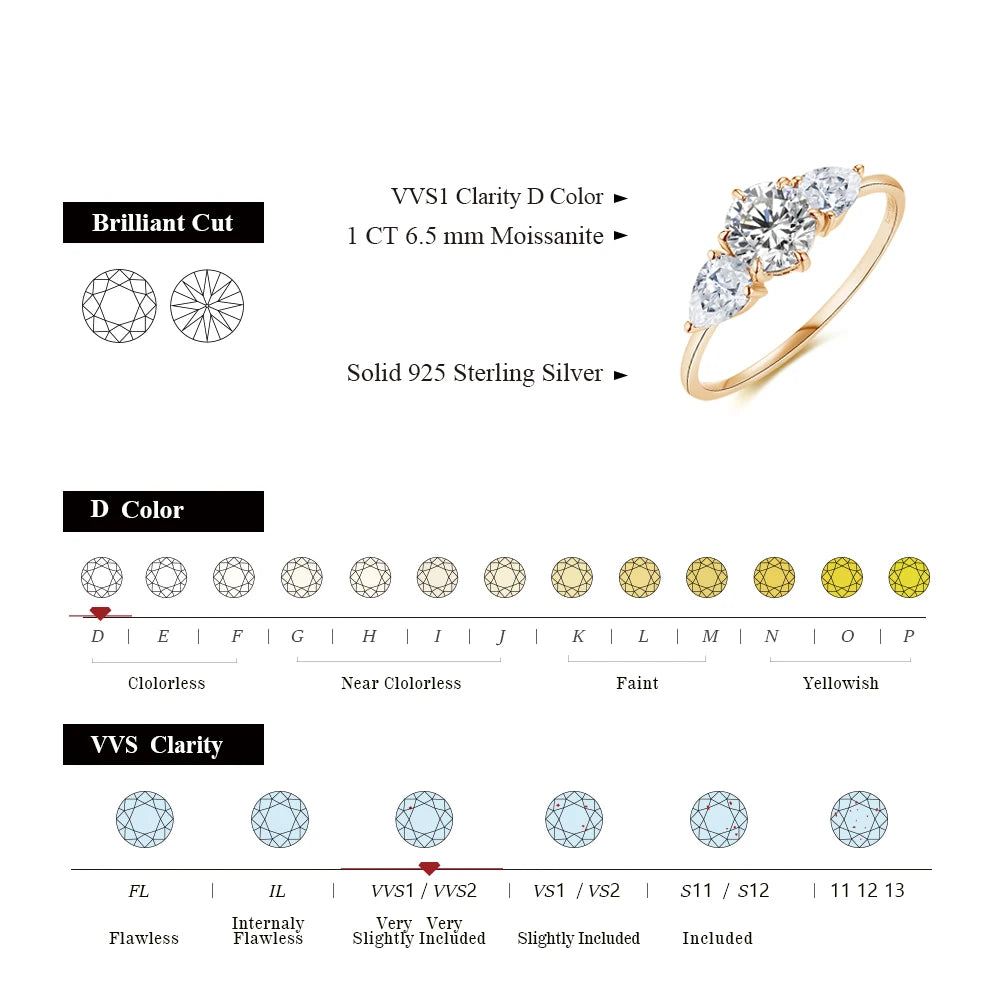 1 CT Brilliant Cut Halo Moissanite Promise Ring.