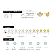 VVS1 D Color Ladder Sqaure Cut Moissanite Stud Earrings | S925.