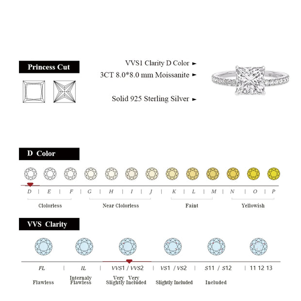 3CT VVS1 D Color Princess Cut Moissanite Engagement Ring | S925.