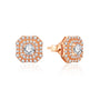 D VVS1 Color Stud Earrings For Women.